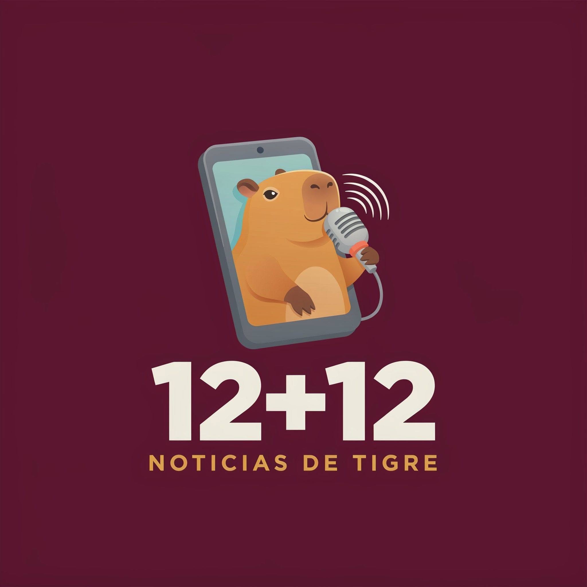 12 + 12 Noticias de Tigre